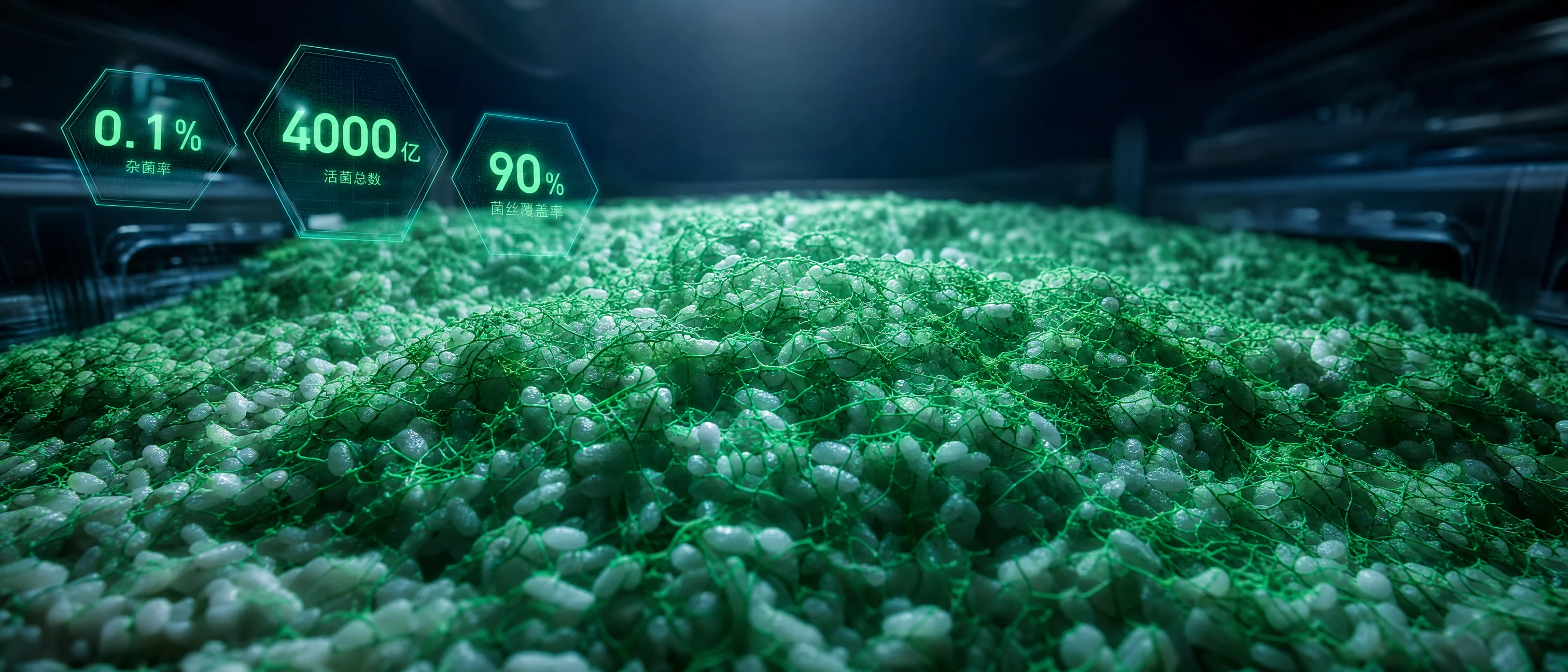 杂菌率 < 0.1%，活菌数行业领先