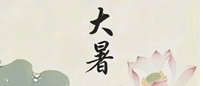 大暑时节：烈日下的耕耘与希望