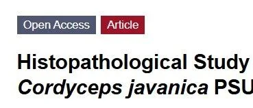 昆虫病原真菌对鞘翅目害虫的侵染过程及致病效应分析 —— 以爪哇虫草菌为例