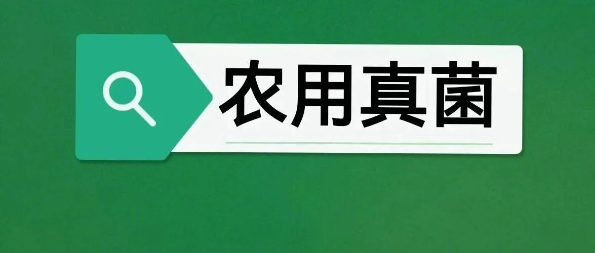高标准农田的土壤修复：刻不容缓的绿色使命