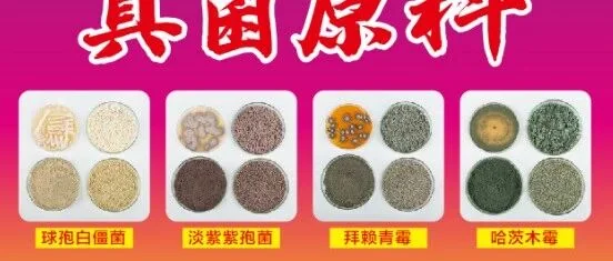 有机红薯种植新策略：冬季覆盖作物与生物农药的协同效应