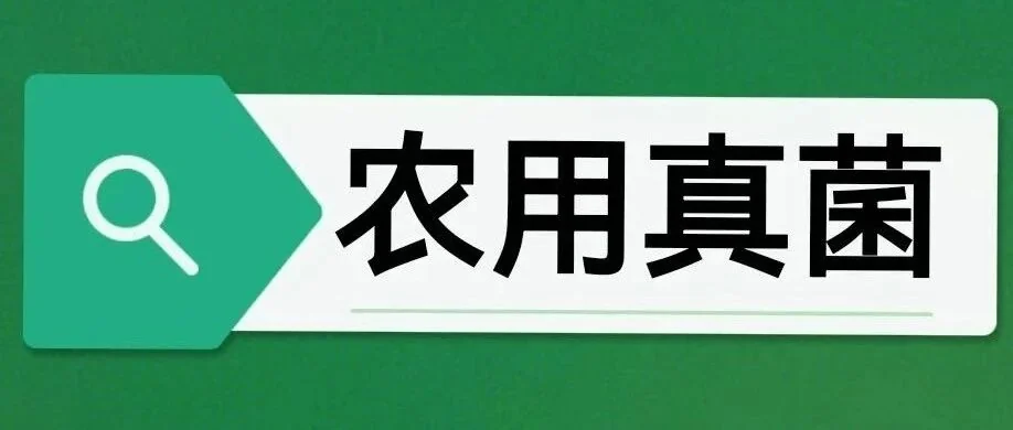 哈茨木霉与贝莱斯芽孢杆菌：玉米茎基腐病的绿色防控新策略！