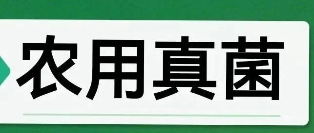 丛枝菌根真菌：农业界的“超级伙伴”与它的新使命