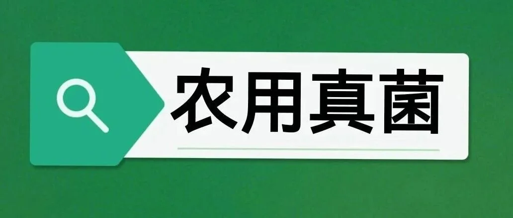 微生物技术破解瓜类连作难题，初农方案让风味“重返自然”