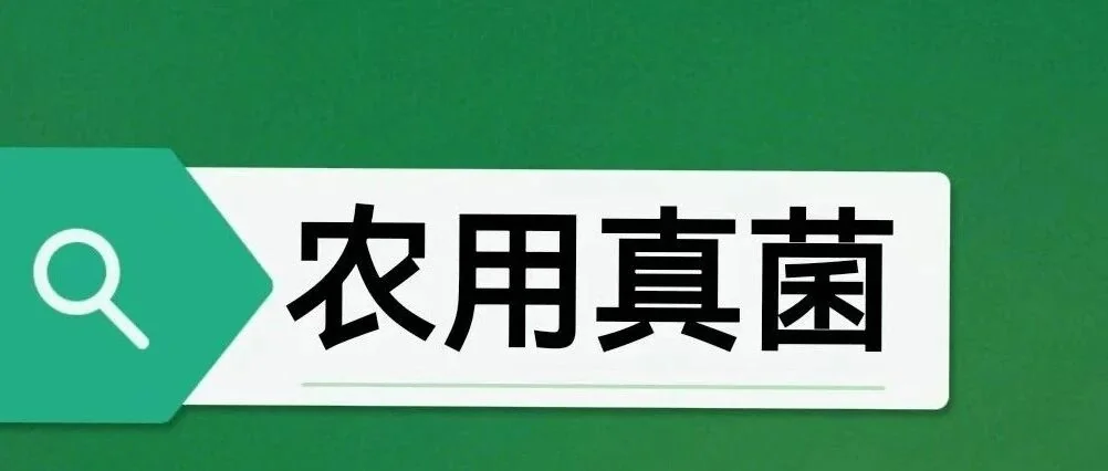 杀藻申氏杆菌：初农喜获蓝藻治理的“新星”专利技术