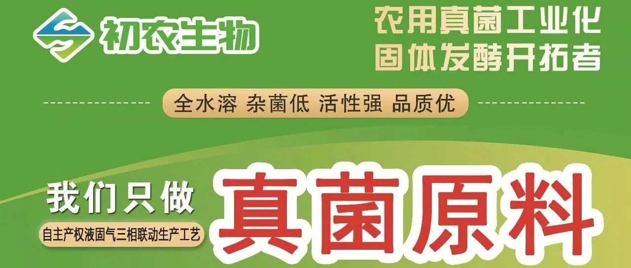爪哇虫草菌与白僵菌：茄子白粉虱防治的绿色新选择