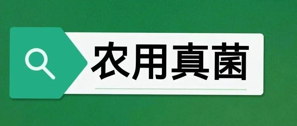 吉林现代化大农业建设：微生物赋能，助力黑土粮仓高质量发展