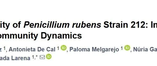 研究速递：产红青霉（Penicillium rubens）对土壤生态的影响