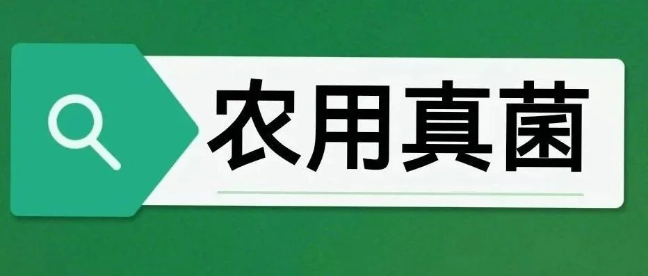 古法农作体系升级实践：微生物技术助力农业文化遗产地生态转型