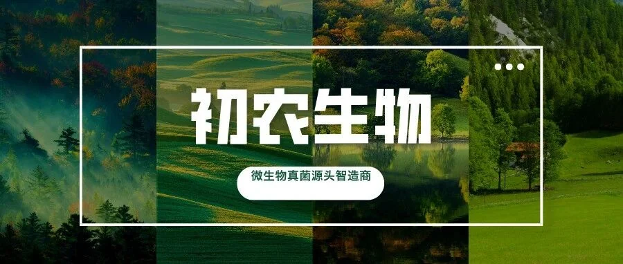 棘孢木霉菌在甜瓜种植中的应用效果研究