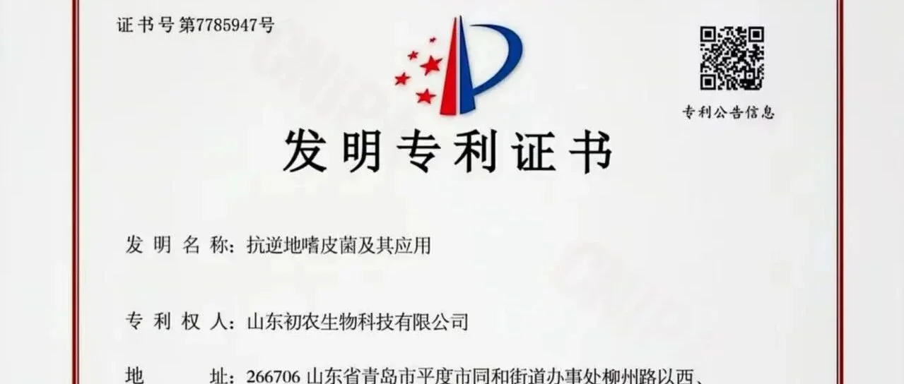 抗逆地嗜皮菌：初农生物解锁生态修复的“新钥匙”专利技术