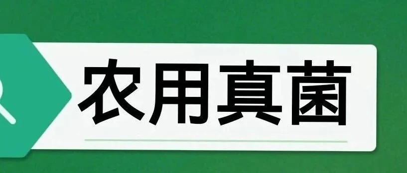 球孢白僵菌：松材线虫防治的新“利器”