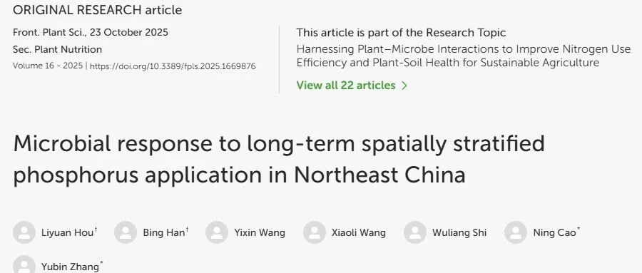 东北黑土地上的磷肥新策略：微生物视角下的农业革新
