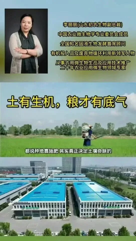 无标题文章