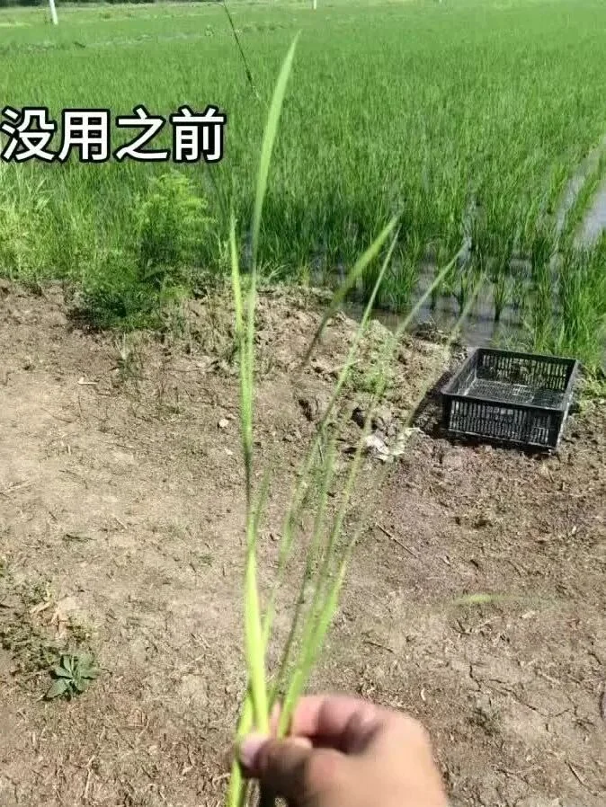 无标题文章