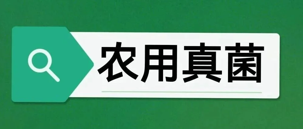 农业农村部印发《全国农业科技创新重点领域（2024—2028年）》对农用微生物真菌生产行业的启示