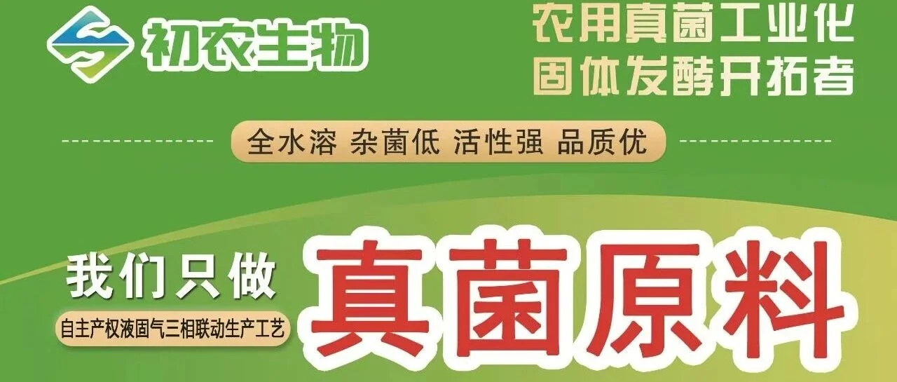 住在体内与根下的真菌，如何默默守护植物生长？