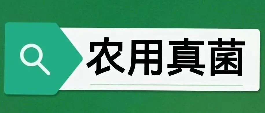初农生物：用微生物科技开启生态茶园新时代