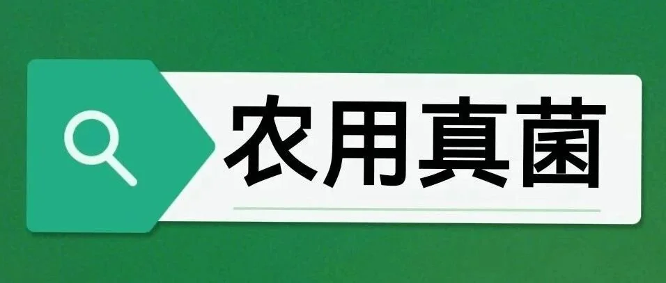 真菌防治松材线虫：绿色防控的三重策略与广阔前景