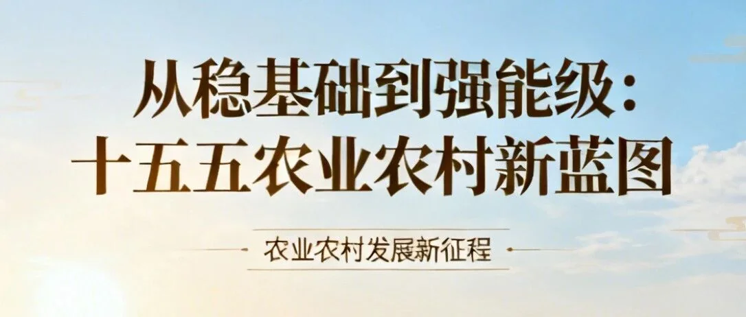 从“稳基础”到“强能级”：十五五农业农村，这些重大变化看懂未来5年