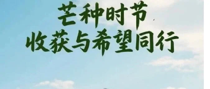 芒种：收获与希望并存
