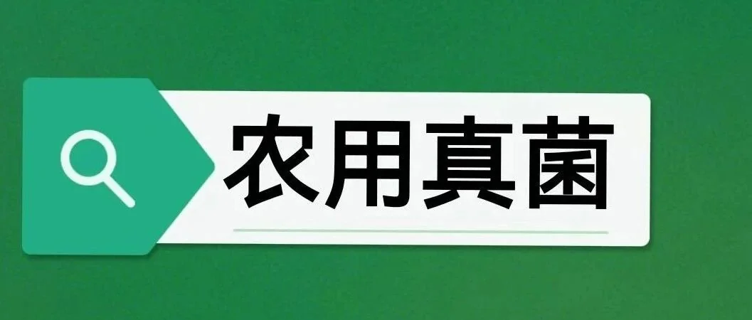 立夏时节，农事正忙，丰收在望