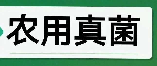 爪哇虫草菌：一种新型绿色防控介壳虫的“生物武器”！