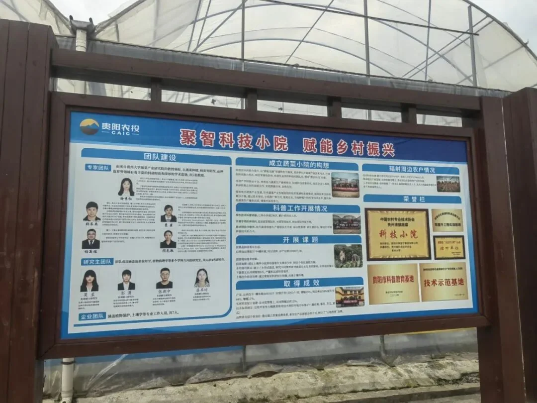 dfc54abc802b98628202845b440b6d7.jpg