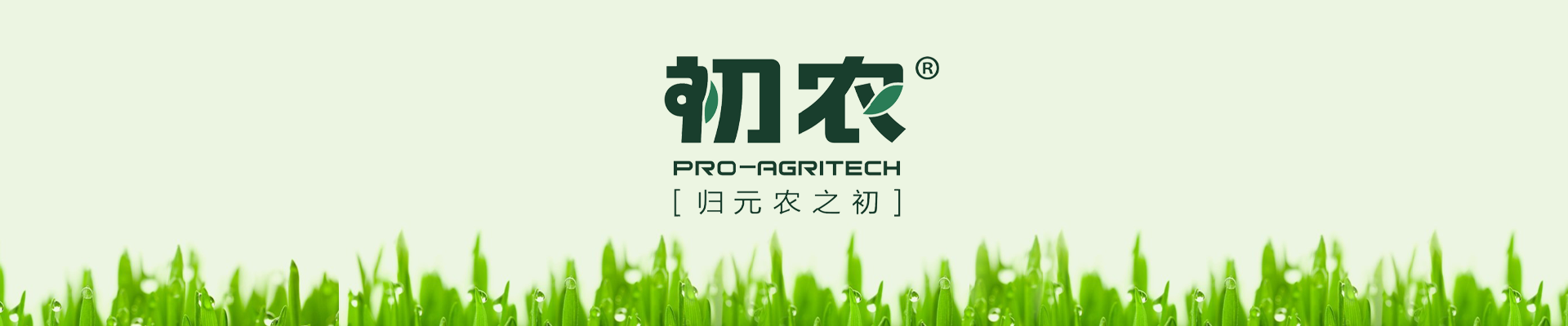 幻灯片2