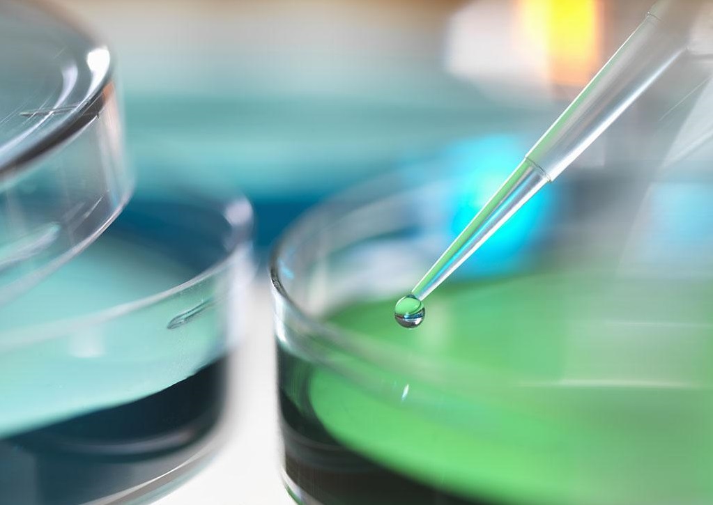 微生物检验的基本操作技术-微生物的培养方法
