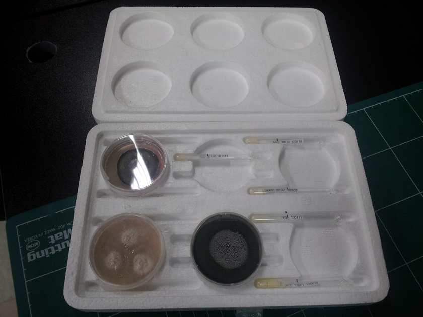 微生物检验方法-生长量测定法