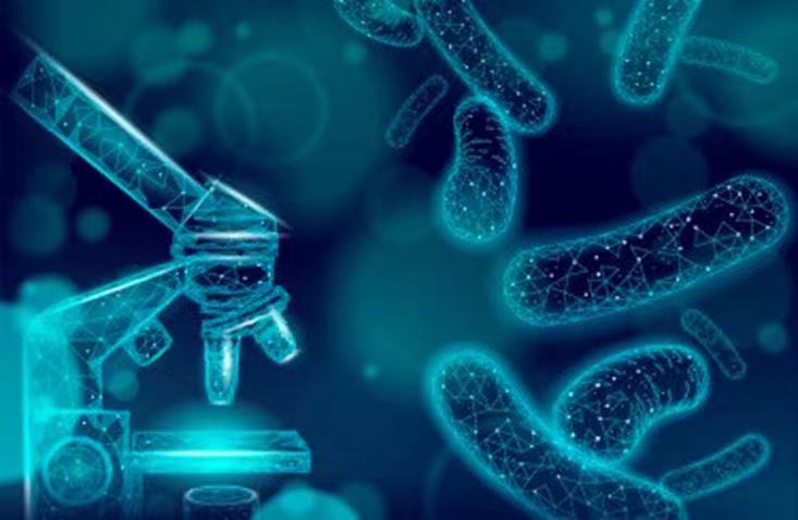微生物检验方法-商业化快速微生物检验法