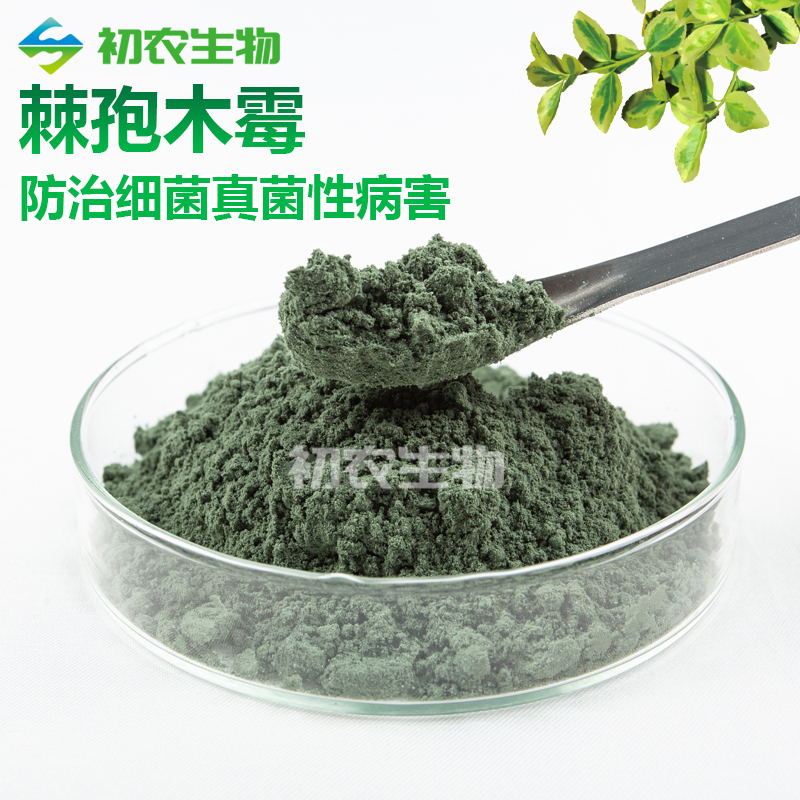棘孢木霉菌